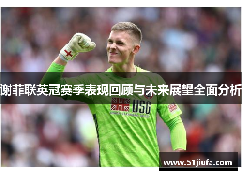 谢菲联英冠赛季表现回顾与未来展望全面分析