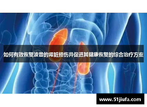 如何有效恢复波普的肾脏损伤并促进其健康恢复的综合治疗方案 如何有效恢复波普的肾脏损伤并促进其健康恢复的综合治疗方案