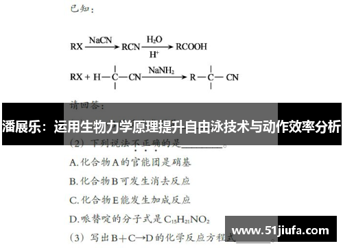 潘展乐：运用生物力学原理提升自由泳技术与动作效率分析