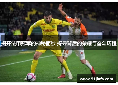 揭开法甲冠军的神秘面纱 探寻背后的荣耀与奋斗历程